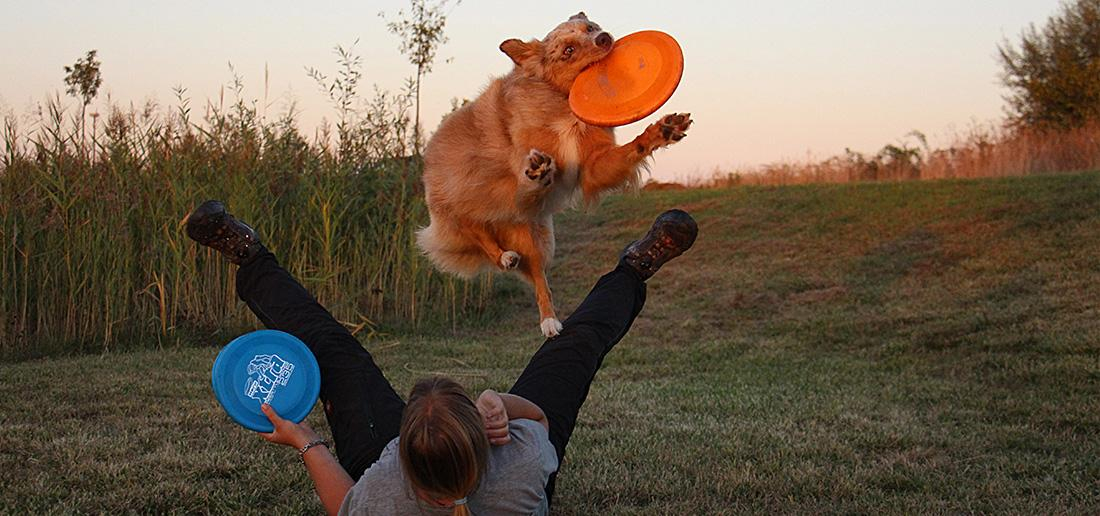 Schnupperkurs Dogrfisbee